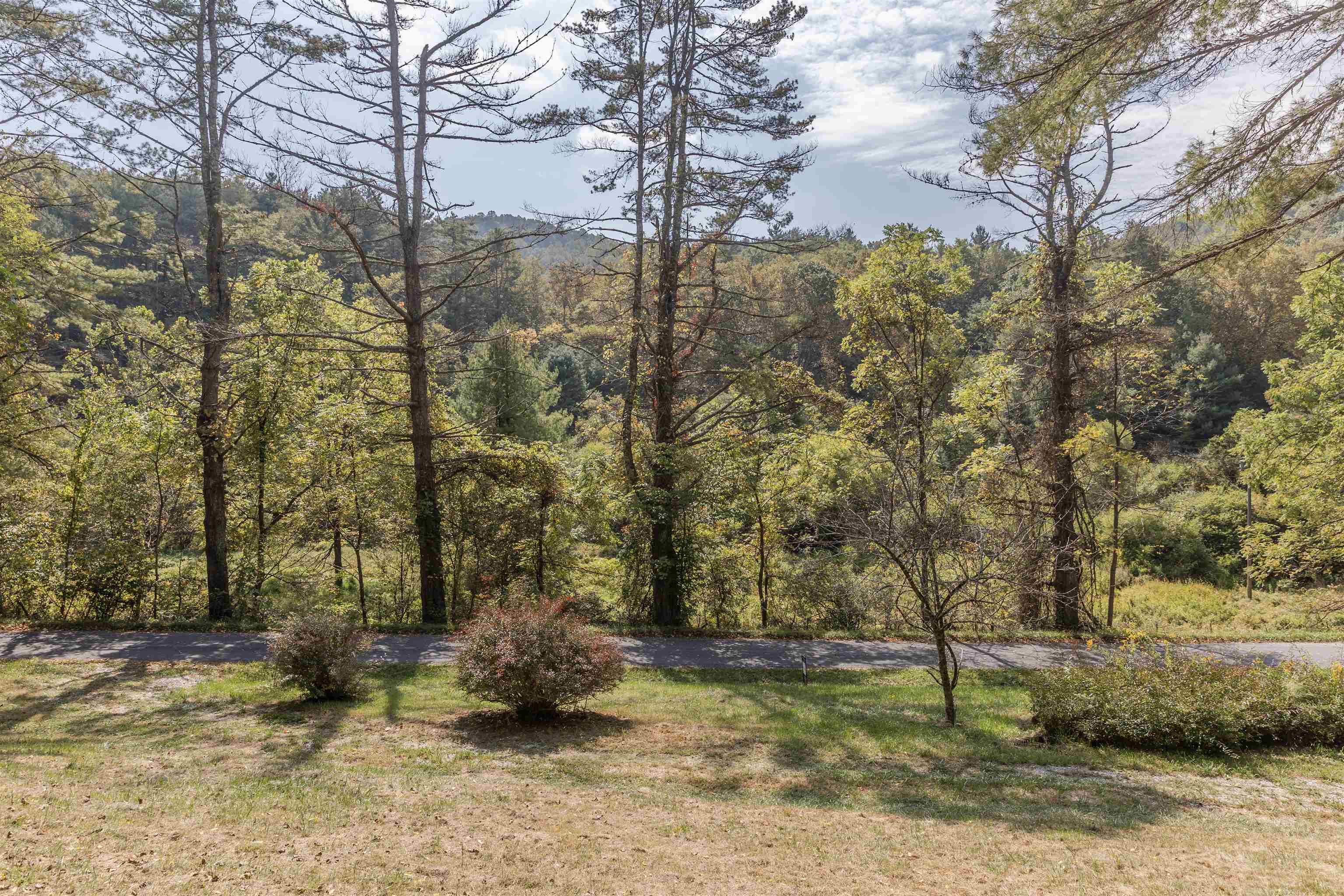 2063 Pedlar River Road Vesuvius, VA 24483 - Photo 10 of 35 a view of a yard with large trees