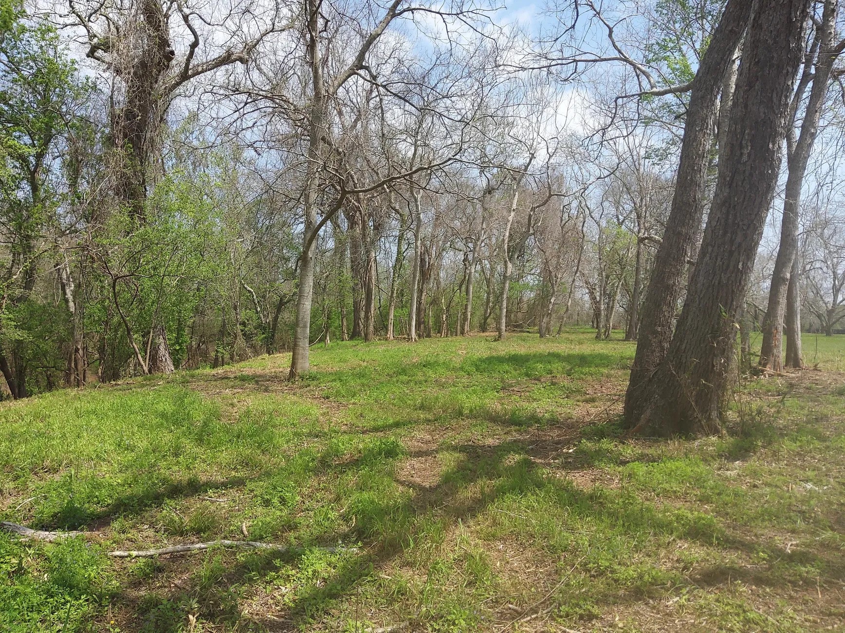 Lot 1 FM 521 Road Angleton, TX 77515 - Photo 22 of 34