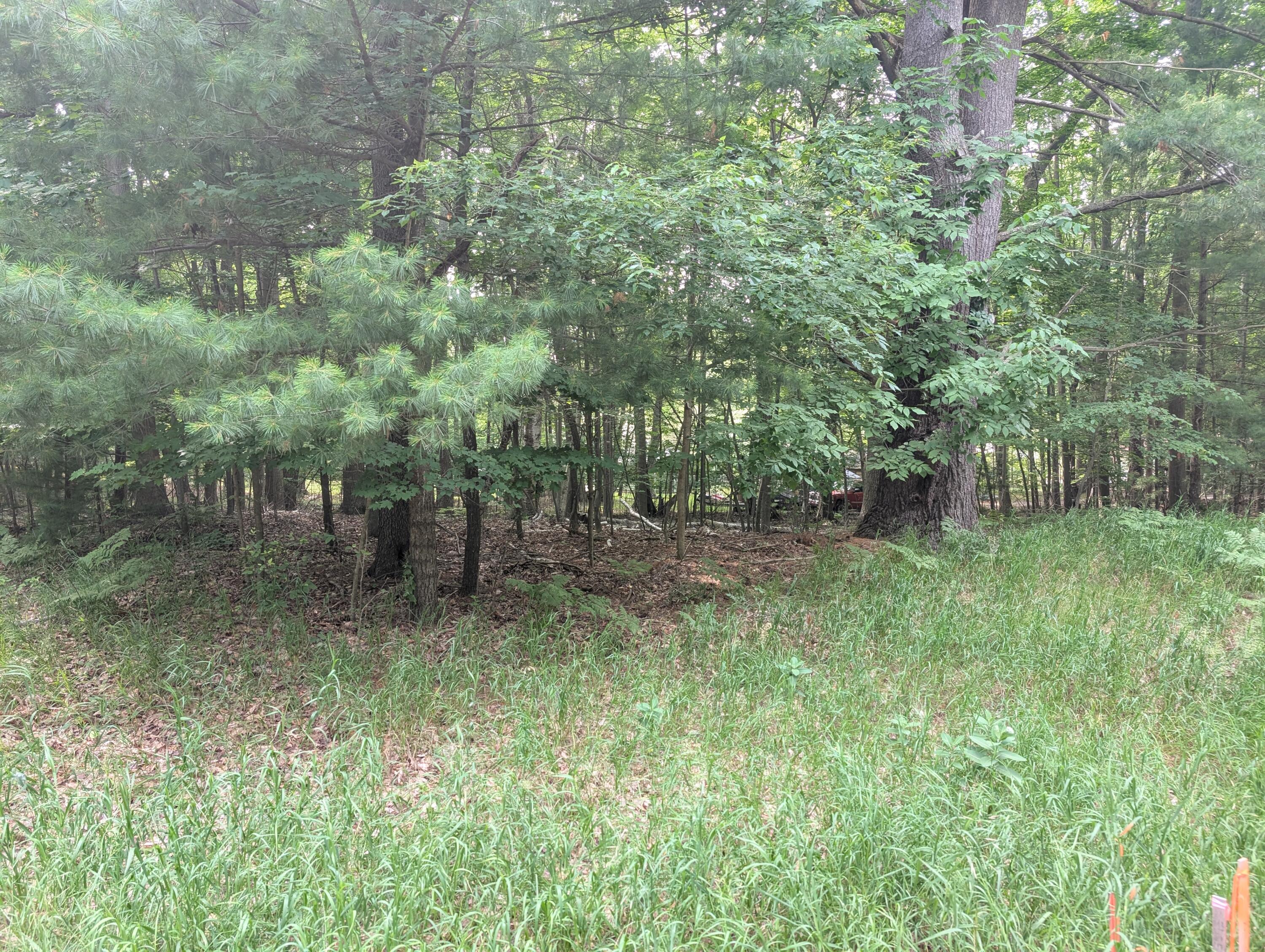 V/l Tamarack Road Ludington, MI 49431 - Photo 1 of 6 PXL_20250708_205324507
