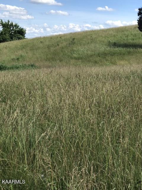 11 R Foshee Road Philadelphia, TN 37846 - Photo 3 of 25 45874FA3-152D-4F3F-9891-ABF0DF9E739B