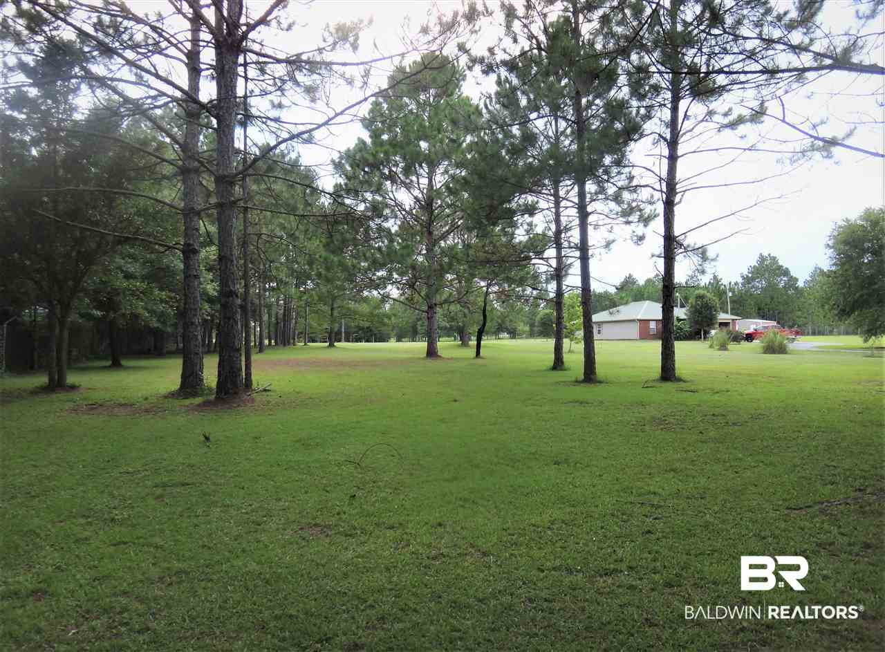 19345 3 Rivers Road Seminole, AL 36574 - Photo 4 of 8