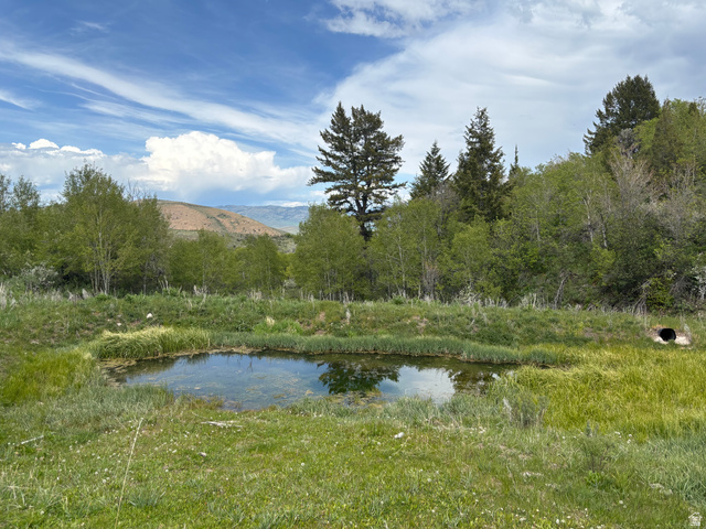 6476 Stauffer Road, Unit 4 Montpelier, ID 83254 - Photo 7 of 17 Natural water feature surrounded by lush greenery