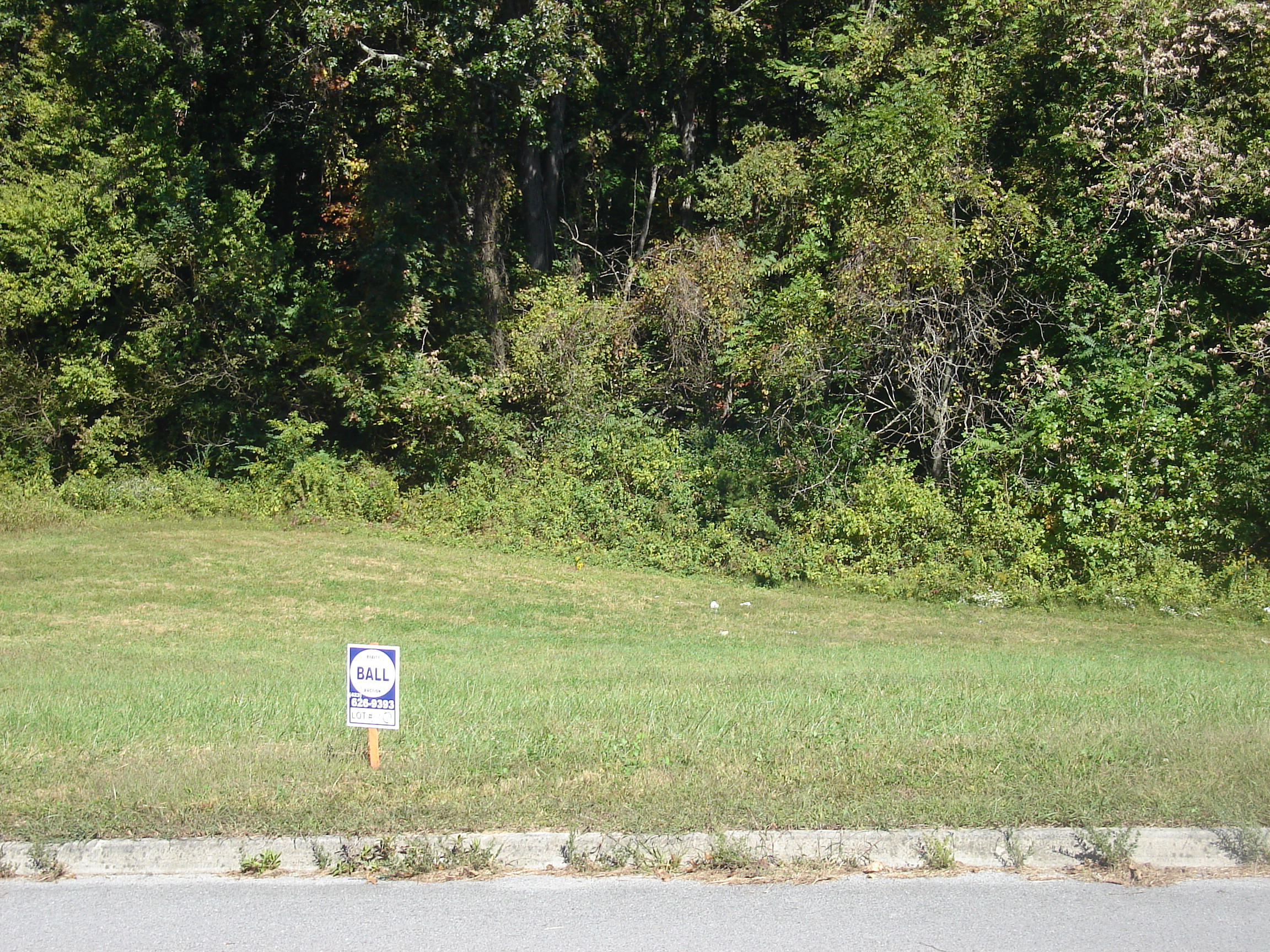 Lot 10 Redbird Lane Rutledge, TN 37861 - Photo 2 of 2 Lot 10