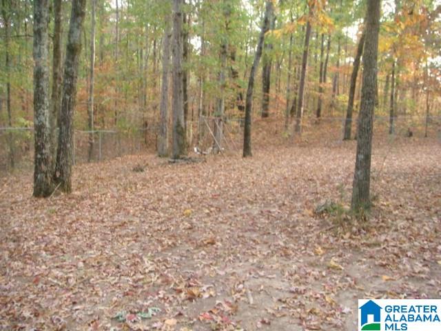 8965 Cotton Road Pinson, AL 35126 - Photo 6 of 21