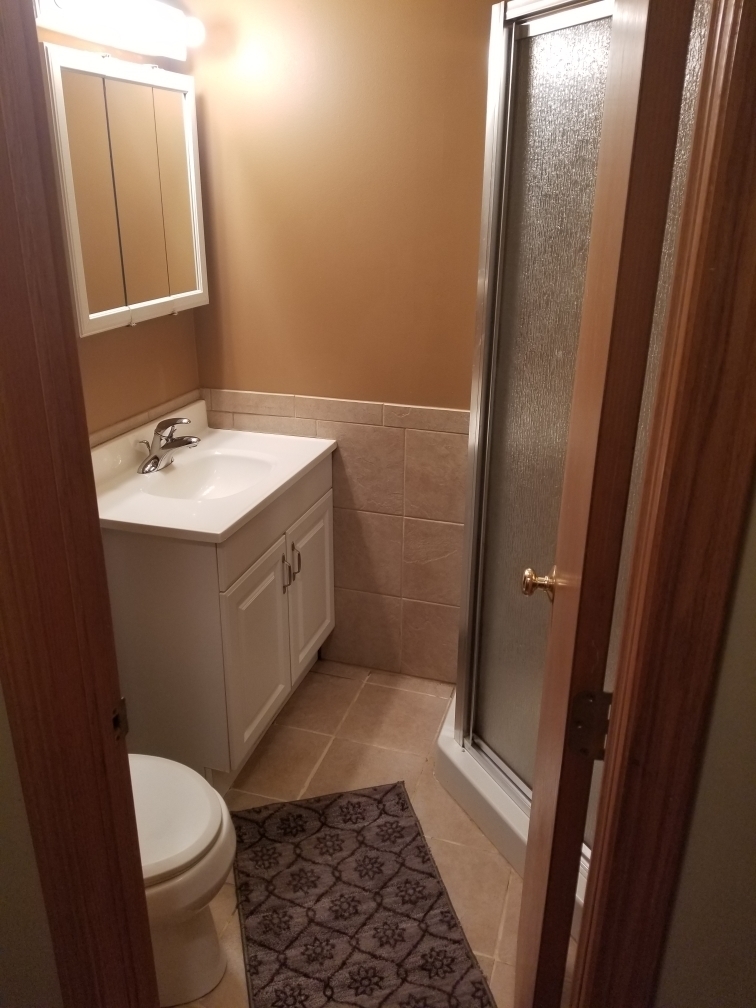6110 Birmingham Street Chicago Ridge, IL 60415 - Photo 15 of 20 a bathroom with a sink and a mirror