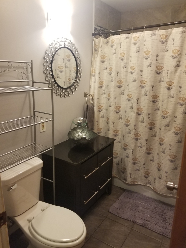 6110 Birmingham Street Chicago Ridge, IL 60415 - Photo 16 of 20 a bathroom with a toilet and a sink
