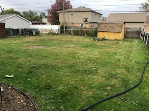 6110 Birmingham Street Chicago Ridge, IL 60415 - Photo 5 of 20 a view of a backyard