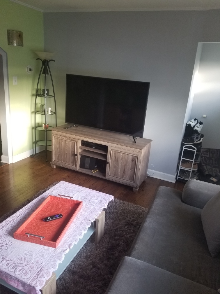 6110 Birmingham Street Chicago Ridge, IL 60415 - Photo 8 of 20 a living room with furniture and a flat screen tv