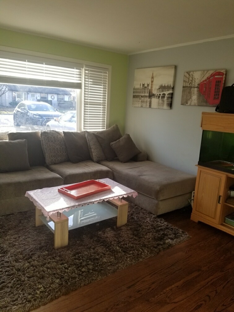 6110 Birmingham Street Chicago Ridge, IL 60415 - Photo 10 of 20 a living room with furniture and a window