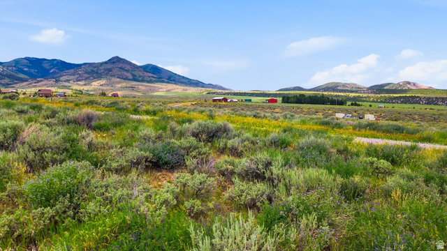 464 East Velvet Rub Road, Unit 33 Malad City, ID 83252 - Photo 10 of 12