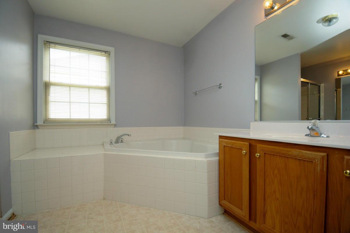 17616 Overlook Road Dumfries, VA 22026 - Photo 22 of 30 a bathroom with a bathtub and a sink