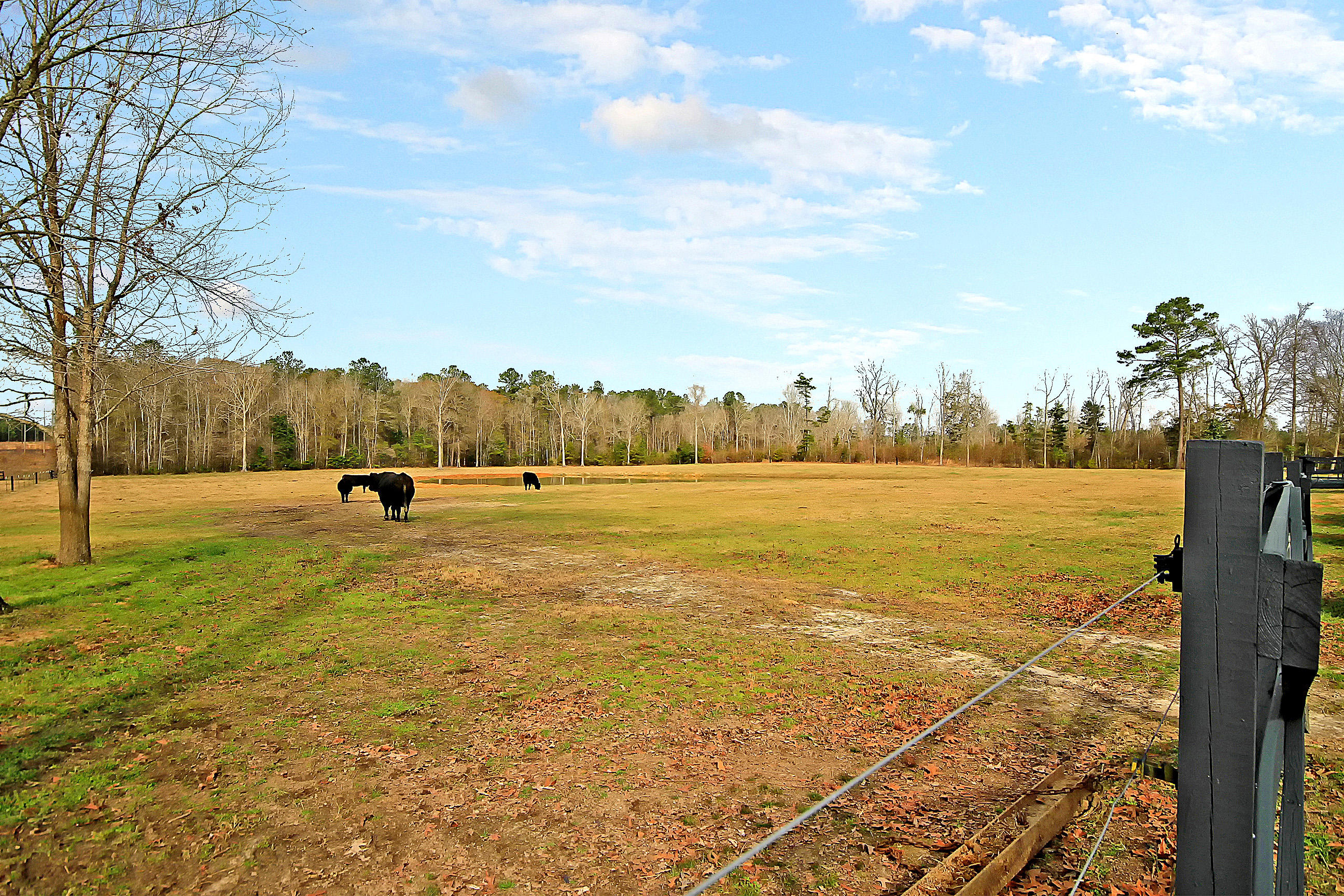 198 Eadie Road Ridgeville, SC 29472 - Photo 12 of 66 IMG_0634 copy