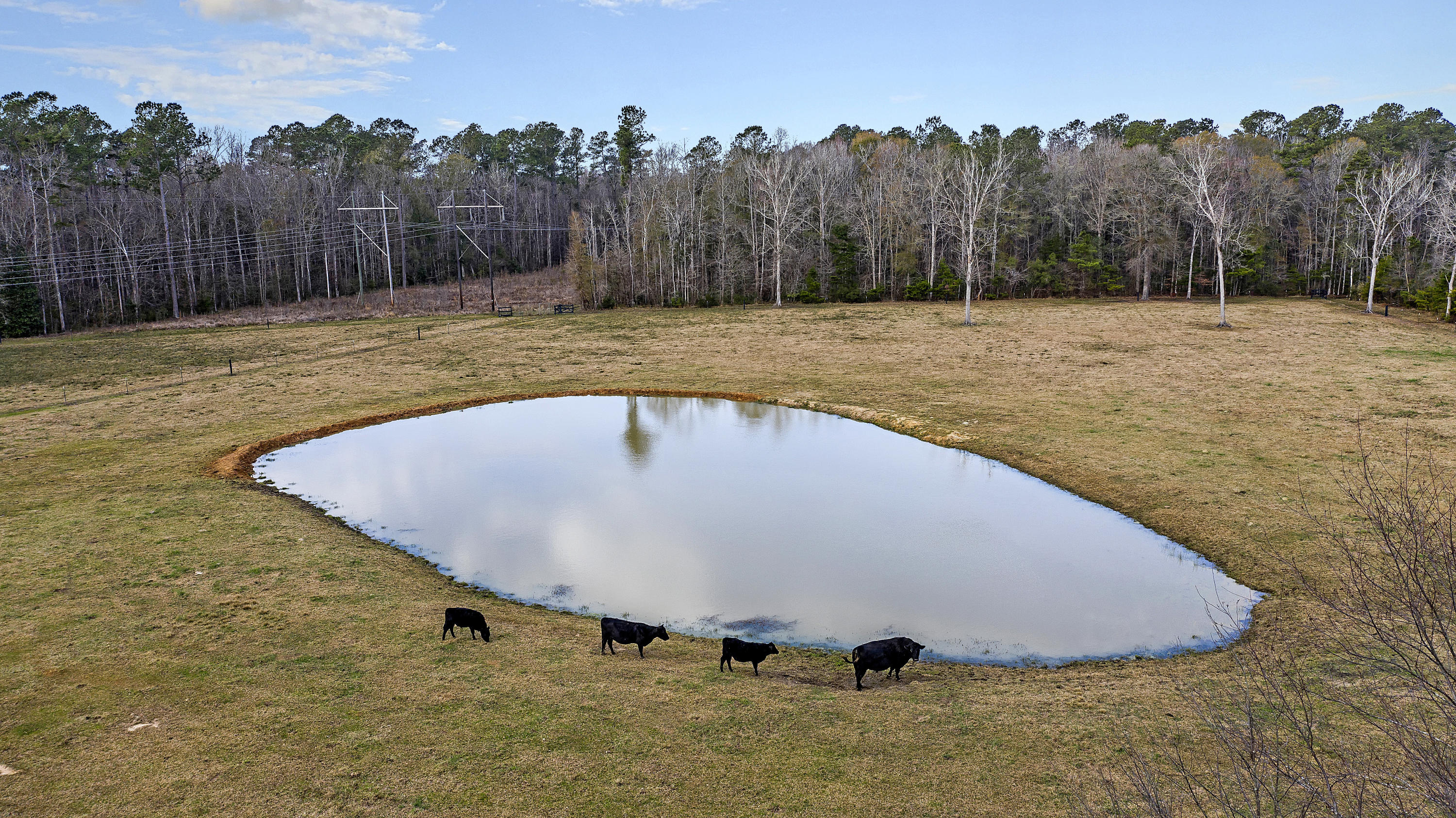 198 Eadie Road Ridgeville, SC 29472 - Photo 14 of 66 DJI_0326 copy