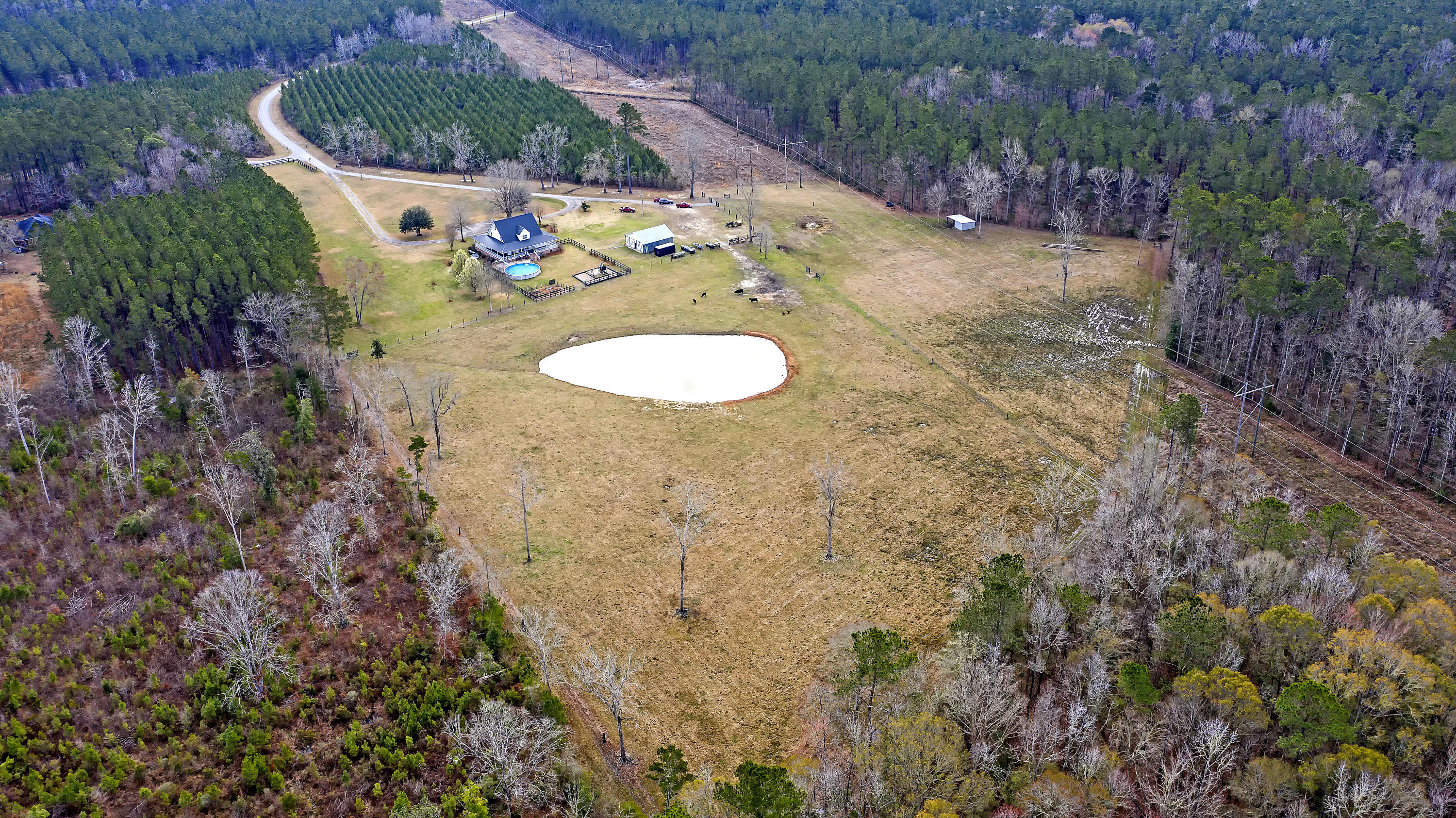 198 Eadie Road Ridgeville, SC 29472 - Photo 34 of 66 DJI_0317 copy