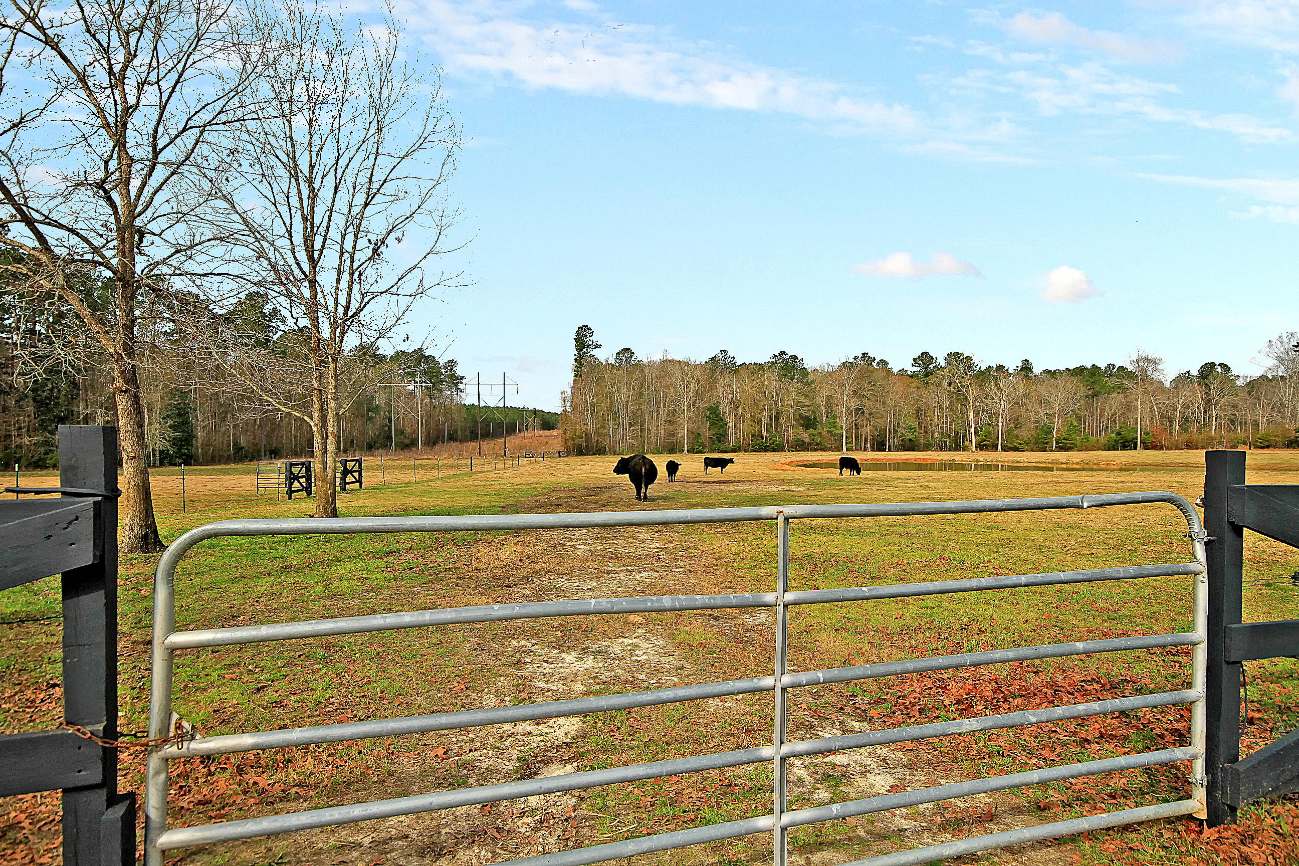 198 Eadie Road Ridgeville, SC 29472 - Photo 38 of 66 IMG_0625 copy