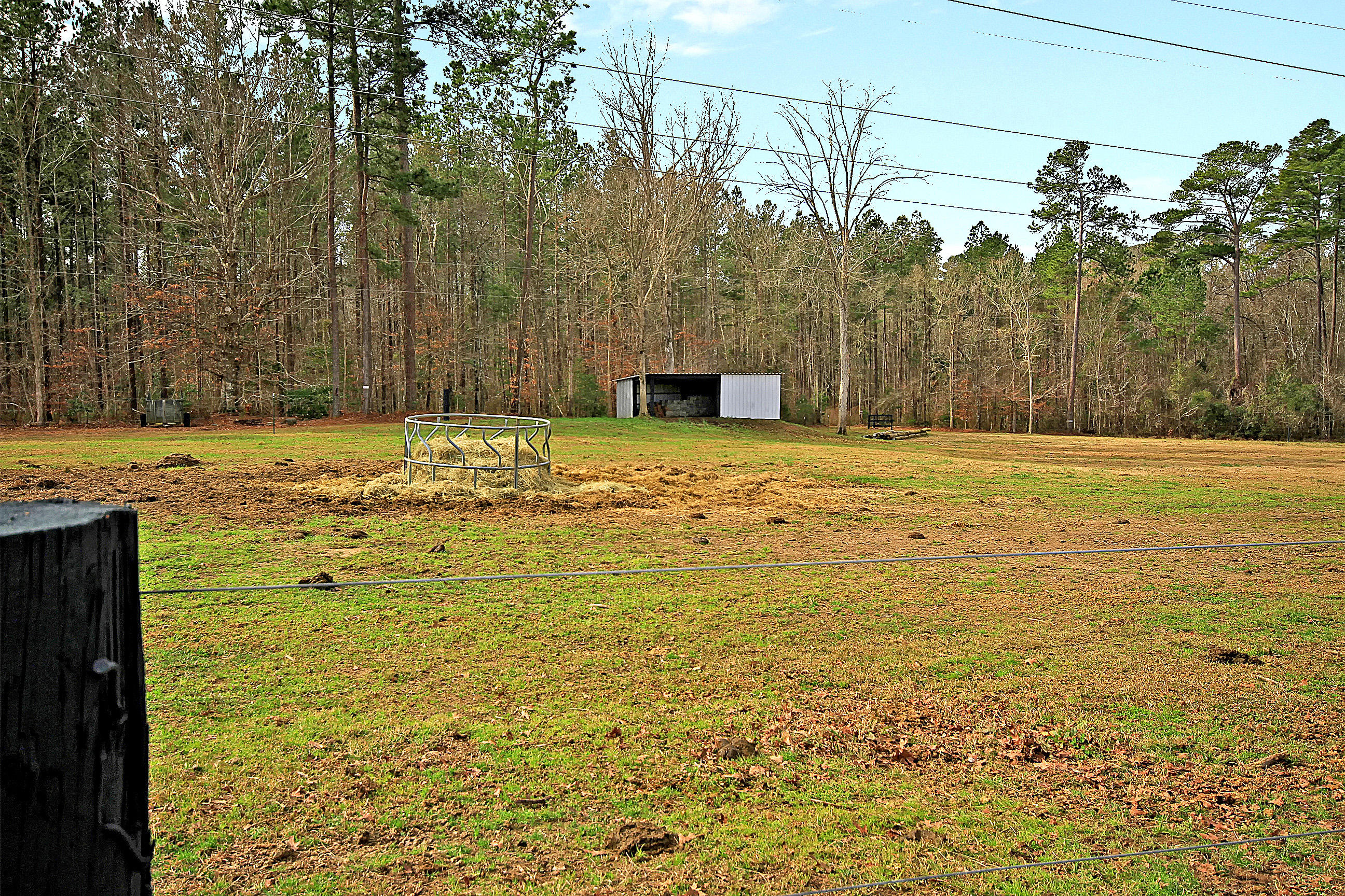 198 Eadie Road Ridgeville, SC 29472 - Photo 39 of 66 IMG_0644 copy