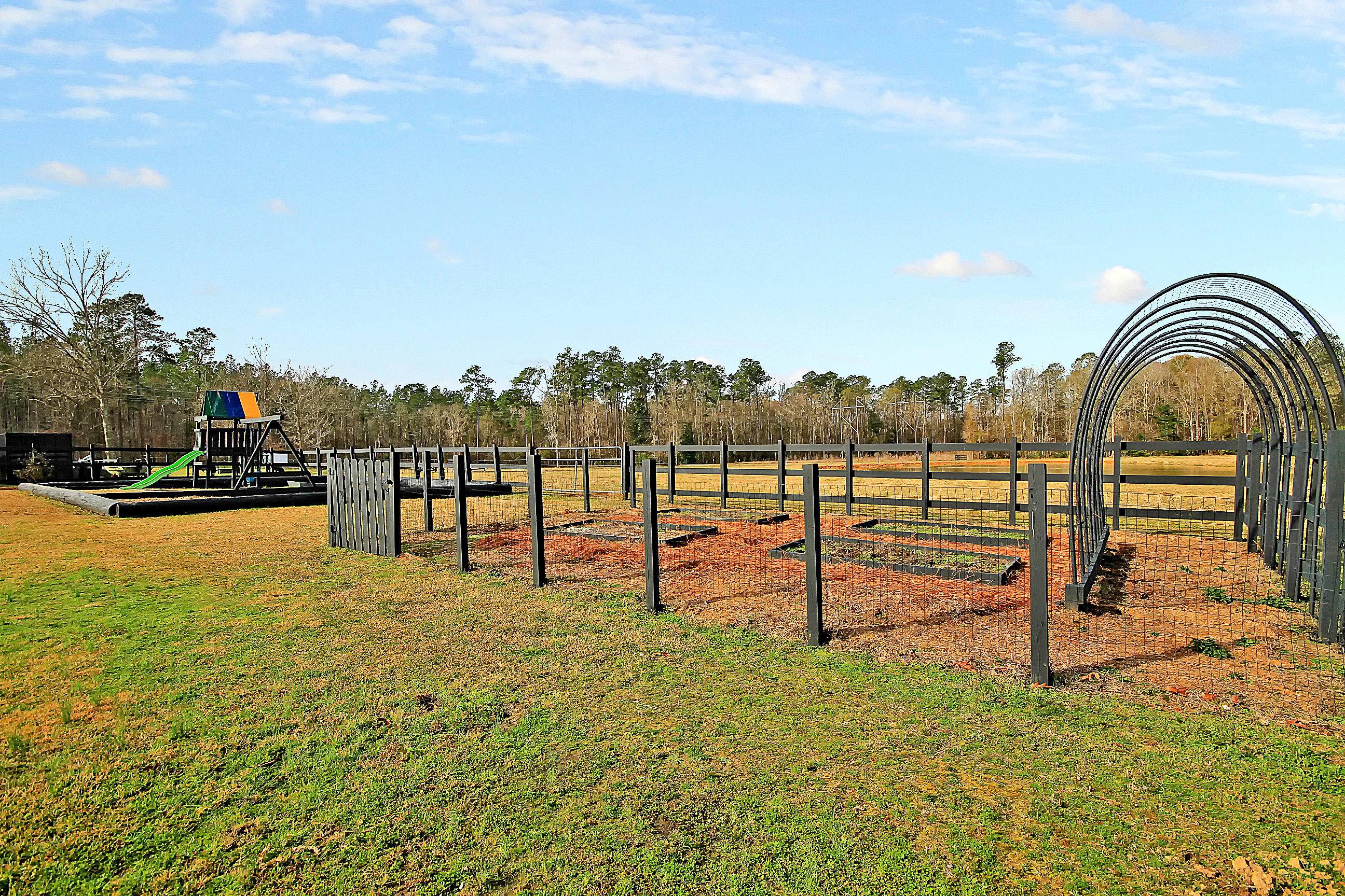 198 Eadie Road Ridgeville, SC 29472 - Photo 40 of 66 IMG_0531 copy