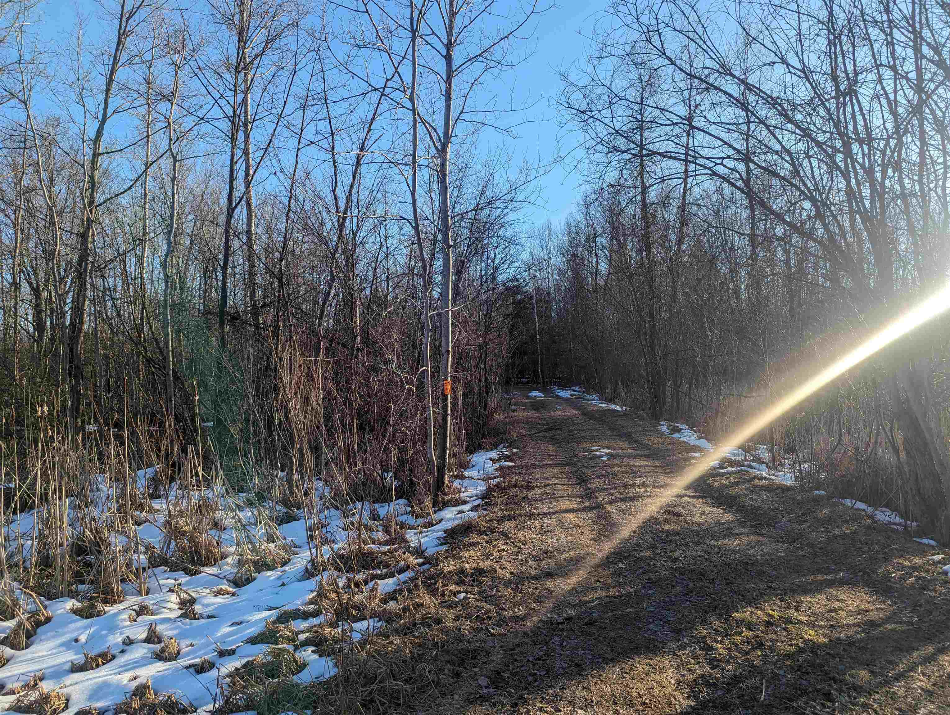 N/a East Sun Oil Road Gladwin, MI 48624 - Photo 8 of 8