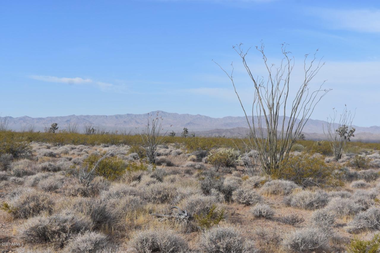 3495 South Lone Ranger Road, Unit 3495 Yucca, AZ 86438 - Photo 12 of 15 Lone Ranger Rd - 12