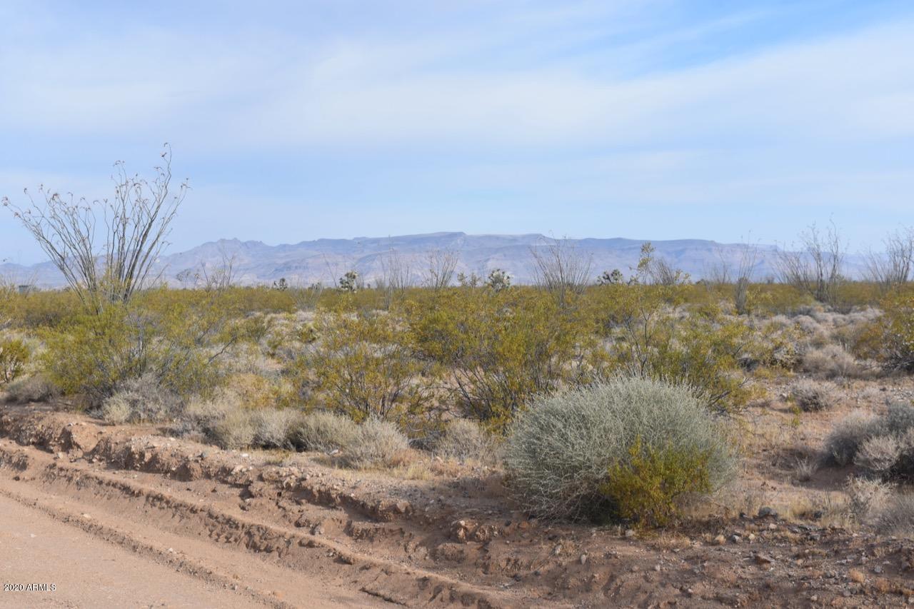 3495 South Lone Ranger Road, Unit 3495 Yucca, AZ 86438 - Photo 13 of 15 Lone Ranger Rd - 13