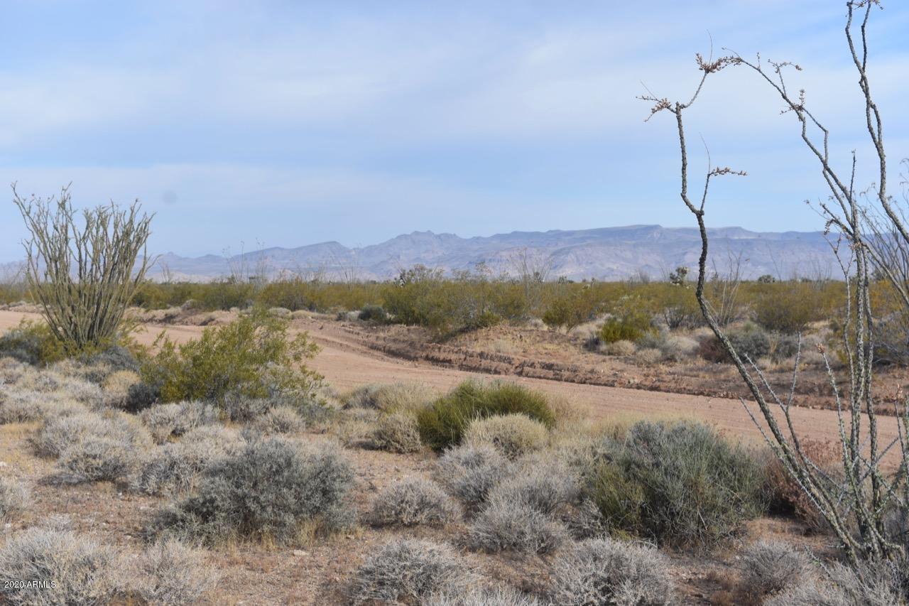 3495 South Lone Ranger Road, Unit 3495 Yucca, AZ 86438 - Photo 14 of 15 Lone Ranger Rd - 14