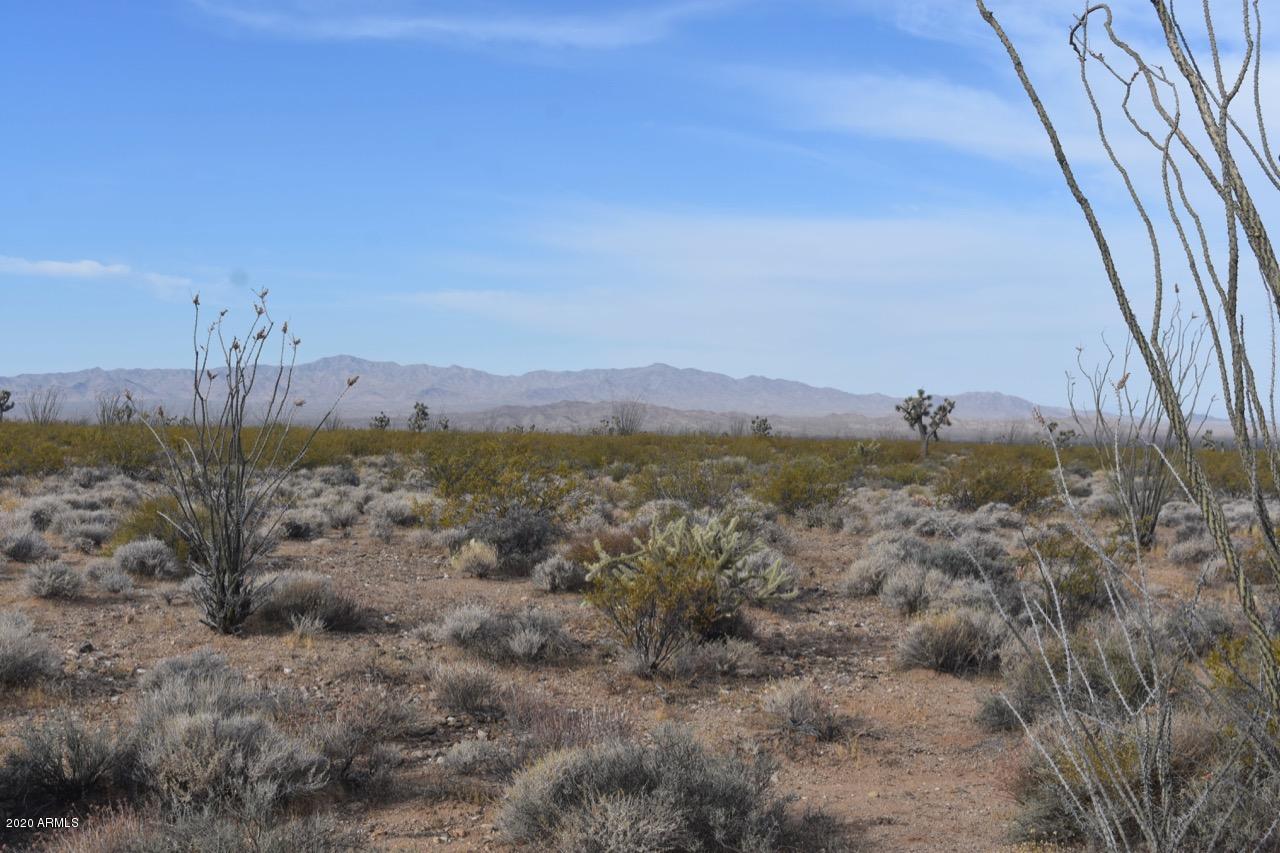 3495 South Lone Ranger Road, Unit 3495 Yucca, AZ 86438 - Photo 15 of 15 Lone Ranger Rd - 15