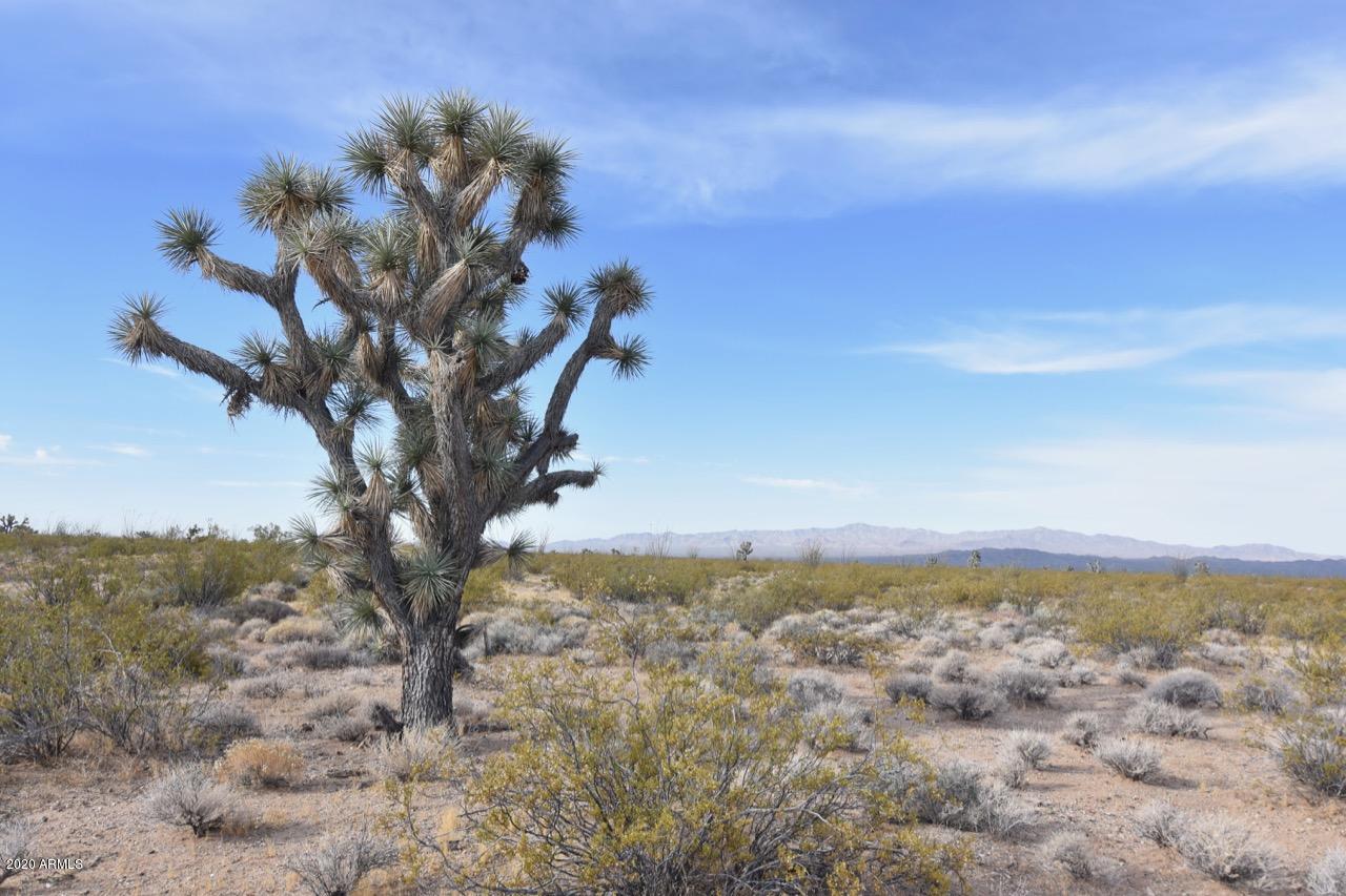 3495 South Lone Ranger Road, Unit 3495 Yucca, AZ 86438 - Photo 2 of 15 Lone Ranger Rd - 2