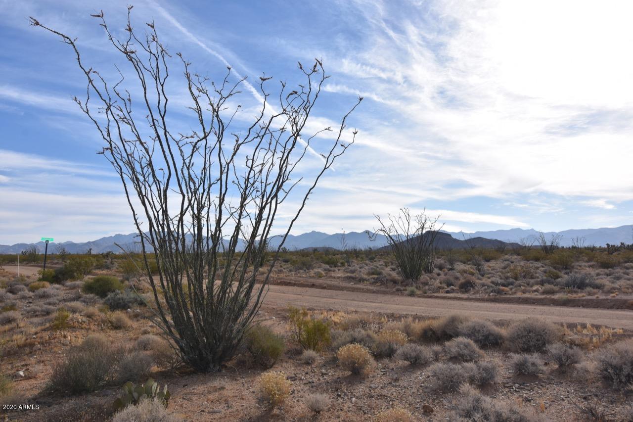 3495 South Lone Ranger Road, Unit 3495 Yucca, AZ 86438 - Photo 3 of 15 Lone Ranger Rd - 3