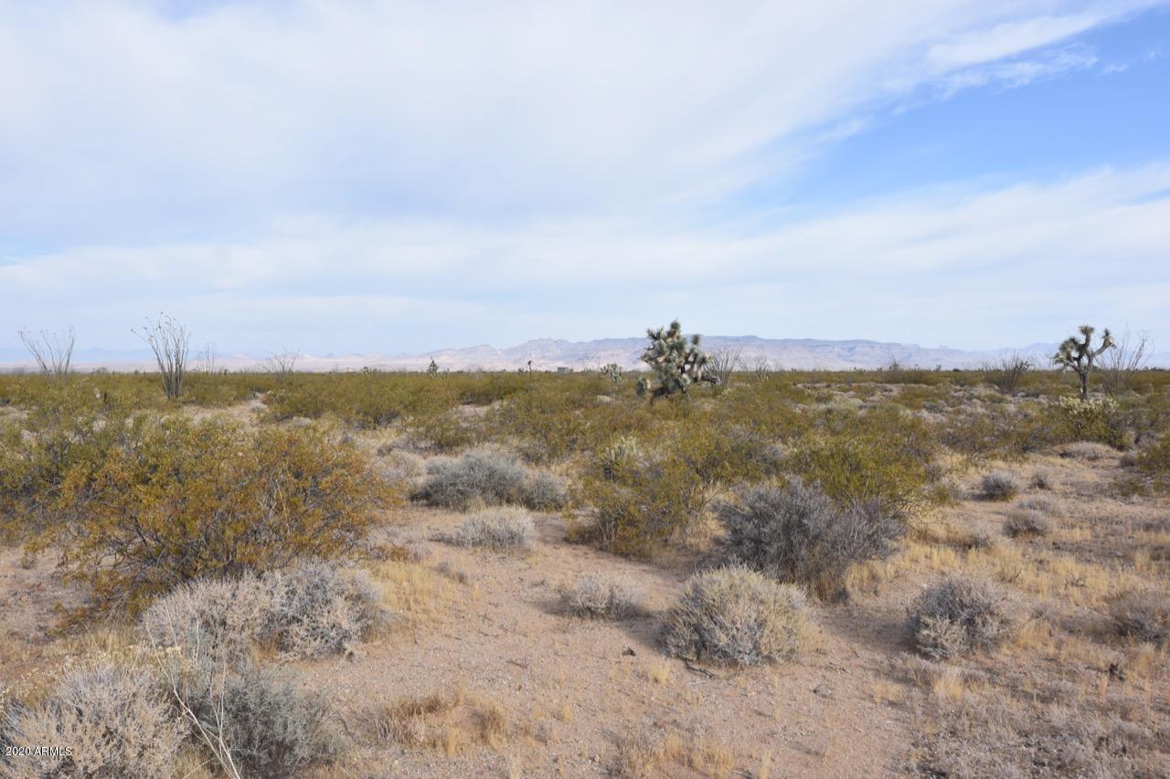 3495 South Lone Ranger Road, Unit 3495 Yucca, AZ 86438 - Photo 5 of 15 Lone Ranger Rd - 5