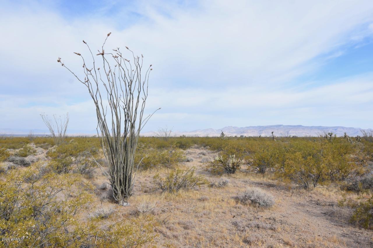 3495 South Lone Ranger Road, Unit 3495 Yucca, AZ 86438 - Photo 6 of 15 Lone Ranger Rd - 6