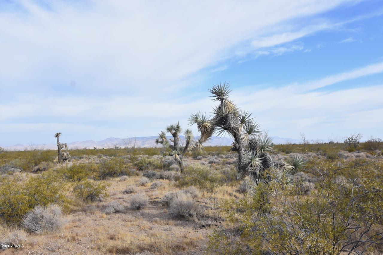 3495 South Lone Ranger Road, Unit 3495 Yucca, AZ 86438 - Photo 7 of 15 Lone Ranger Rd - 7