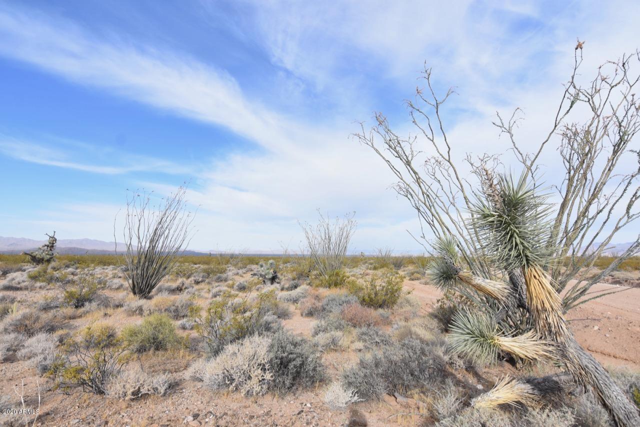 3495 South Lone Ranger Road, Unit 3495 Yucca, AZ 86438 - Photo 8 of 15 Lone Ranger Rd - 8