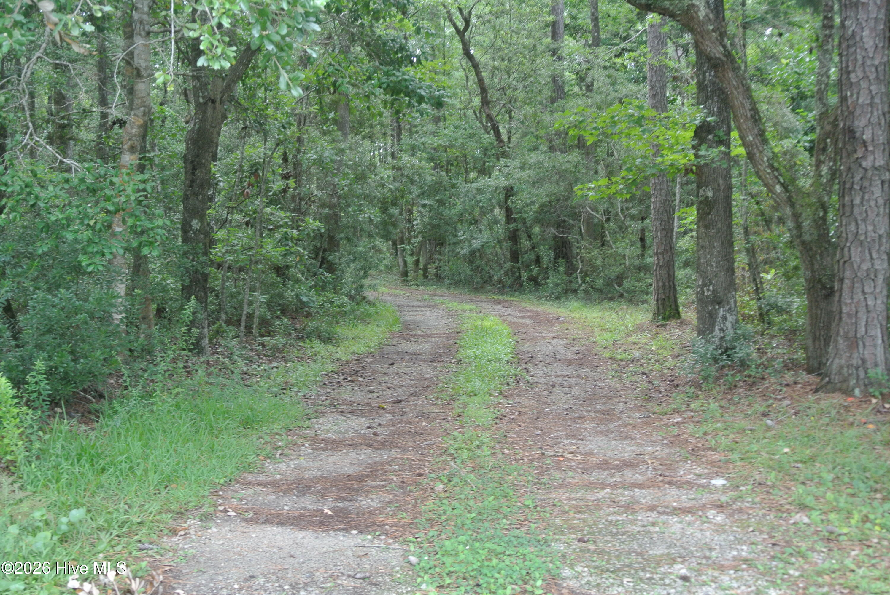 227 Pigott Road Gloucester, NC 28528 - Photo 18 of 59 Gallery Image 18