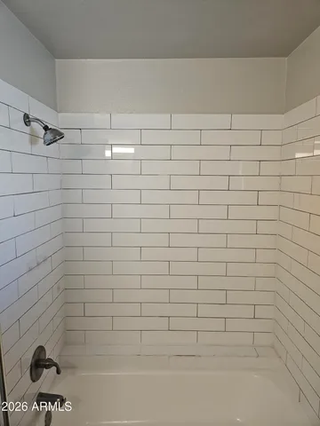 a bathroom with a shower and a bathtub