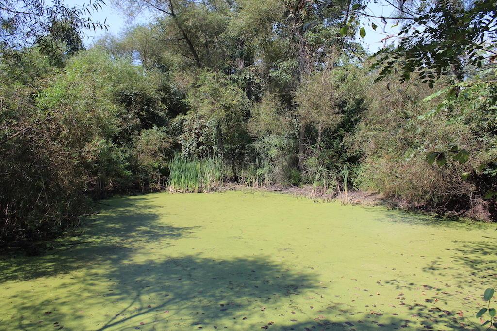 12400 Rainbow Lake Road Athens, OH 45701 - Photo 28 of 47