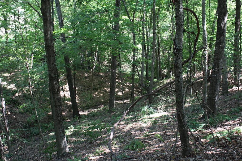 12400 Rainbow Lake Road Athens, OH 45701 - Photo 34 of 47