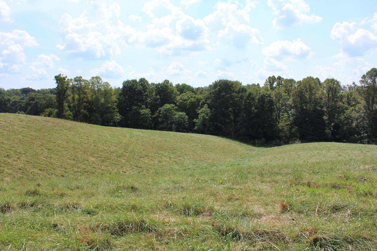12400 Rainbow Lake Road Athens, OH 45701 - Photo 39 of 47