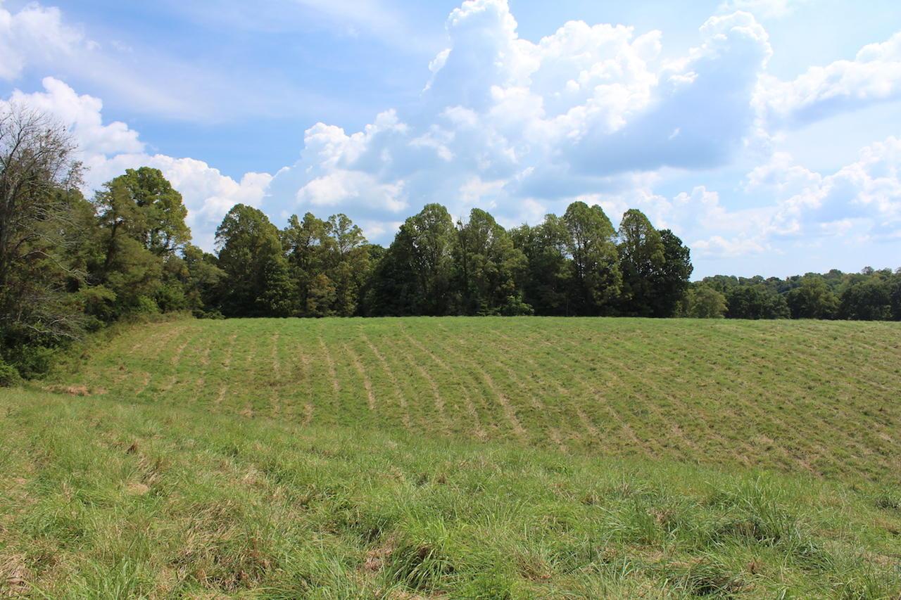 12400 Rainbow Lake Road Athens, OH 45701 - Photo 40 of 47