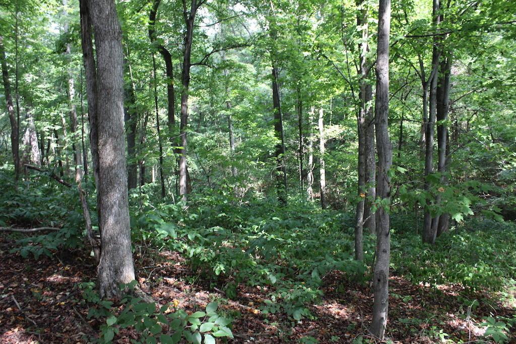 12400 Rainbow Lake Road Athens, OH 45701 - Photo 41 of 47