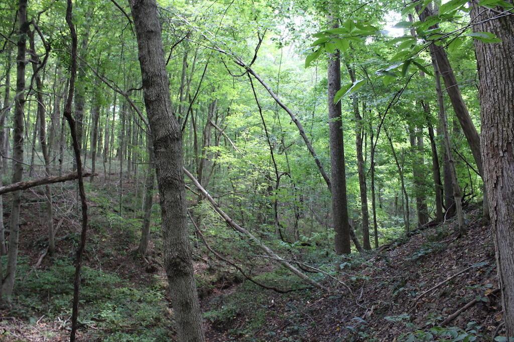 12400 Rainbow Lake Road Athens, OH 45701 - Photo 42 of 47
