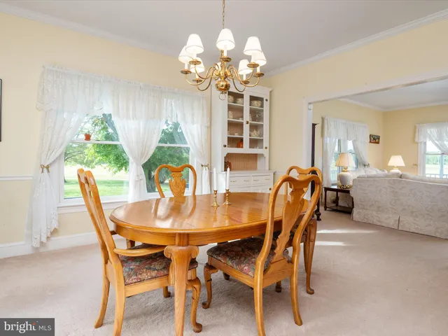 a front view of a house with a garden and plants