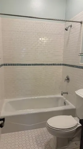 a bathroom with a toilet and a bath tub