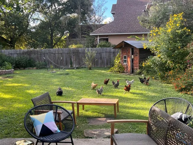 a view of backyard with table and chairs