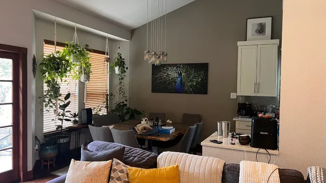 a living room with furniture and a potted plant