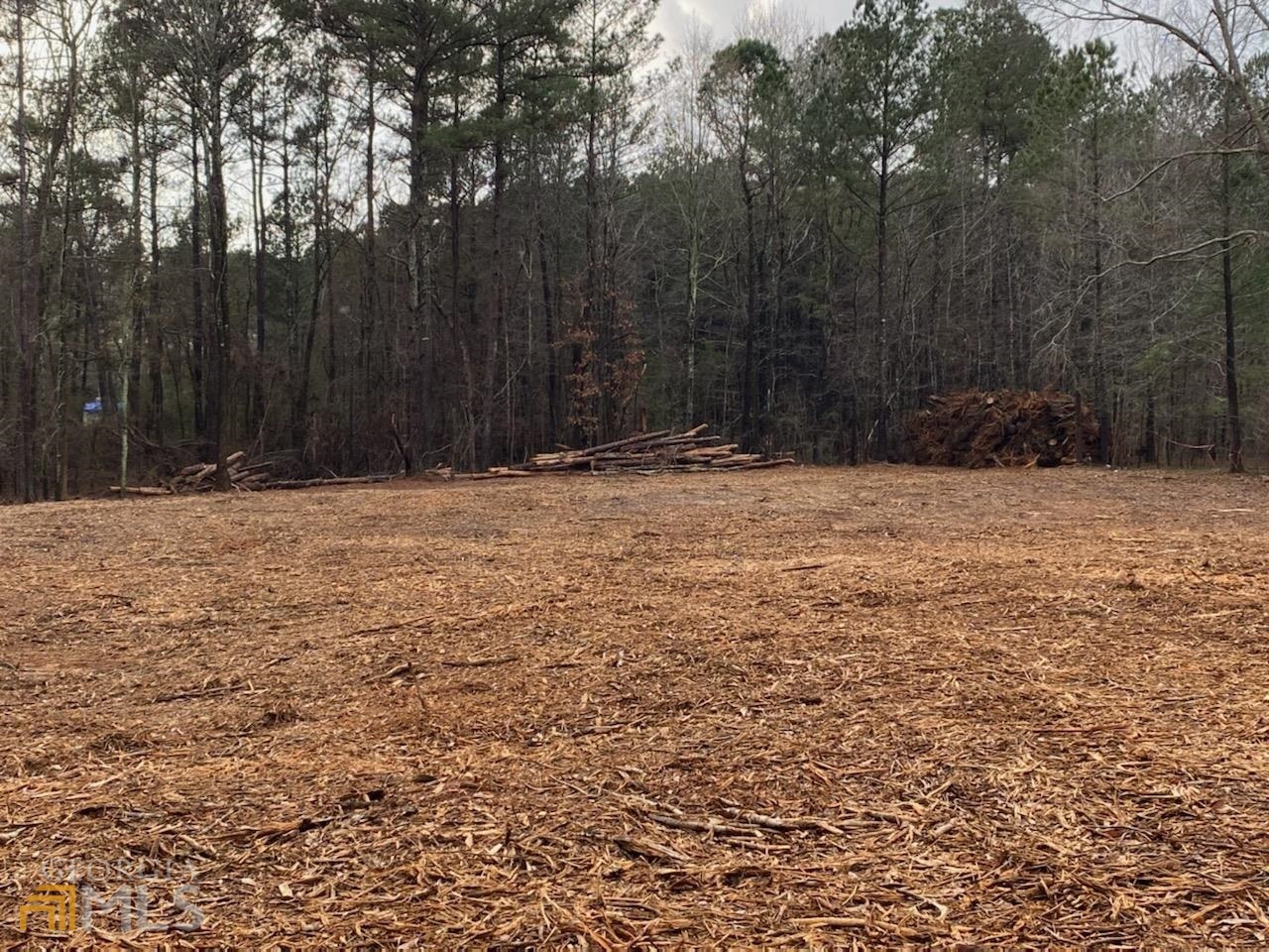 529 South Bethany Road Locust Grove, GA 30248 - Photo 1 of 1 Gallery Image 1