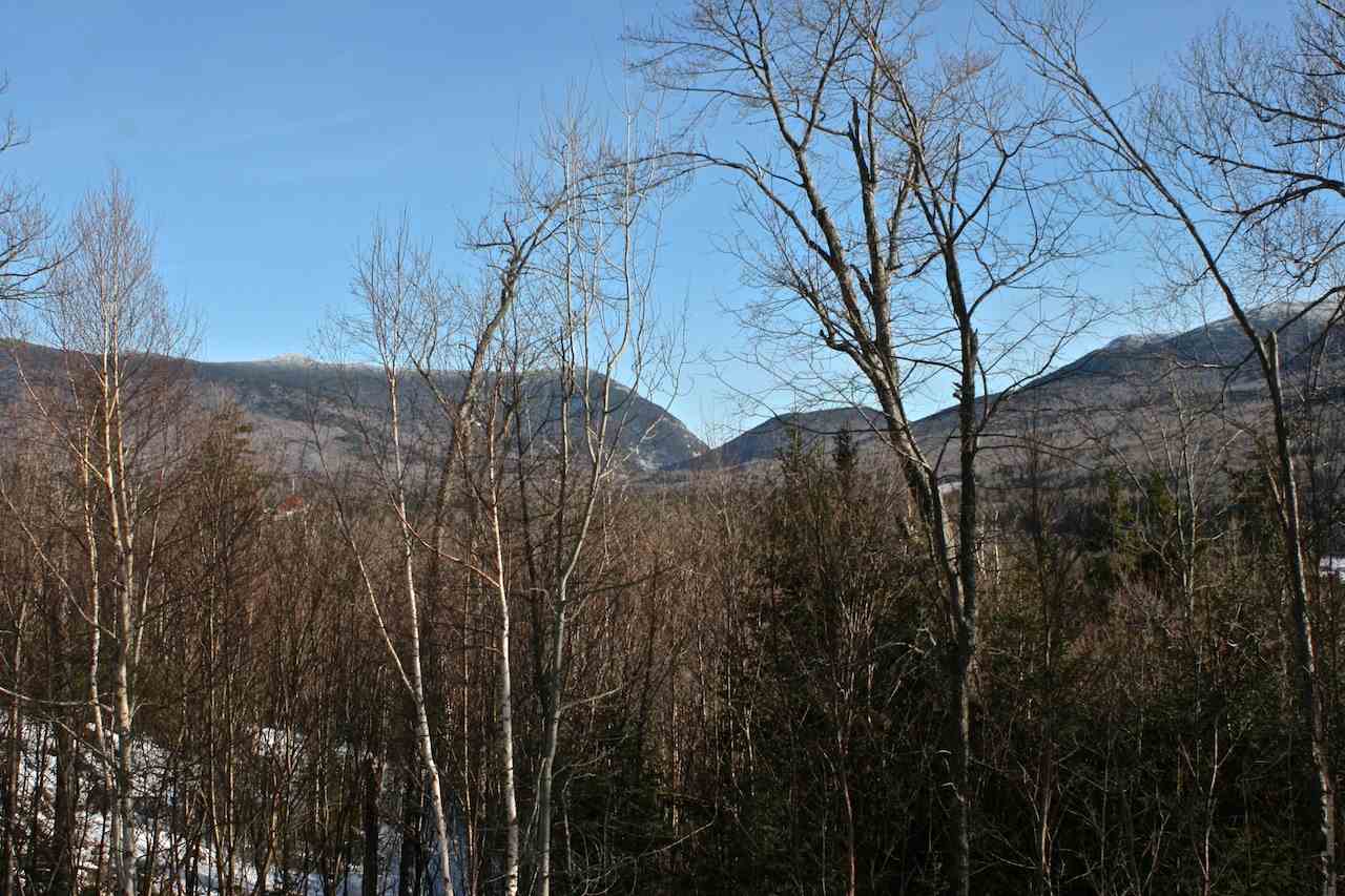Dartmouth Ridge Road, Unit 9 Twin Mountain, NH 03595 - Photo 1 of 11 Gallery Image 1
