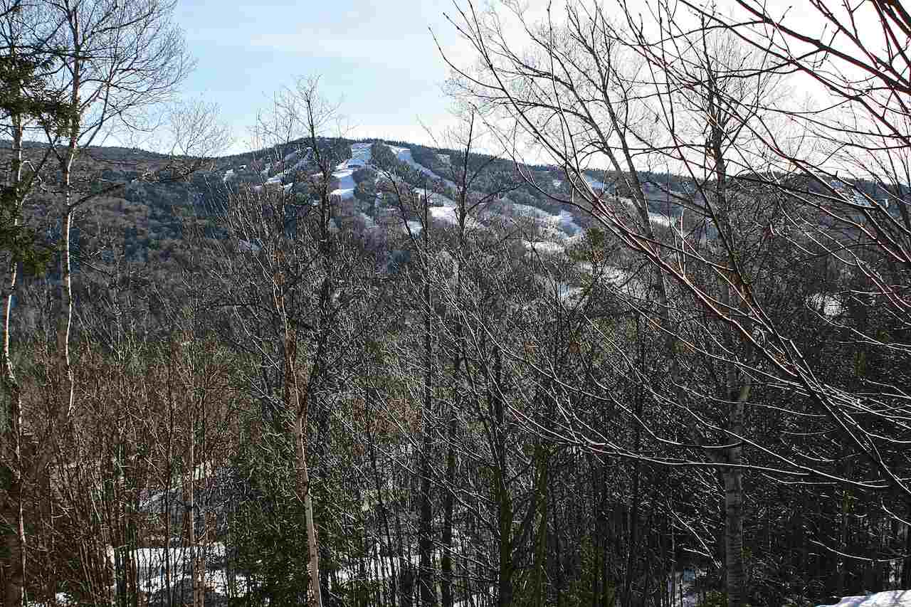 Dartmouth Ridge Road, Unit 9 Twin Mountain, NH 03595 - Photo 2 of 11 Gallery Image 2