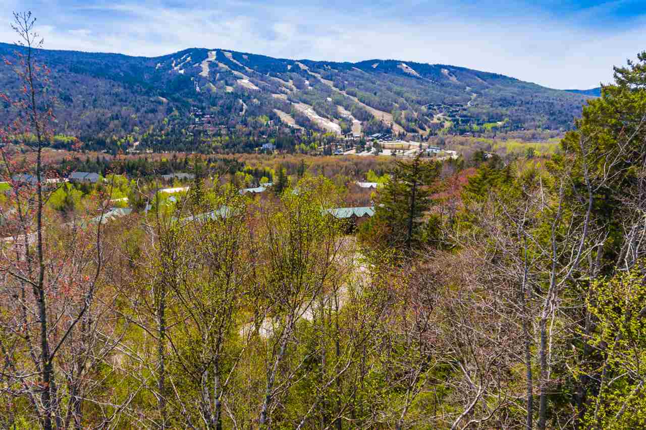 Dartmouth Ridge Road, Unit 9 Twin Mountain, NH 03595 - Photo 11 of 11 Gallery Image 11