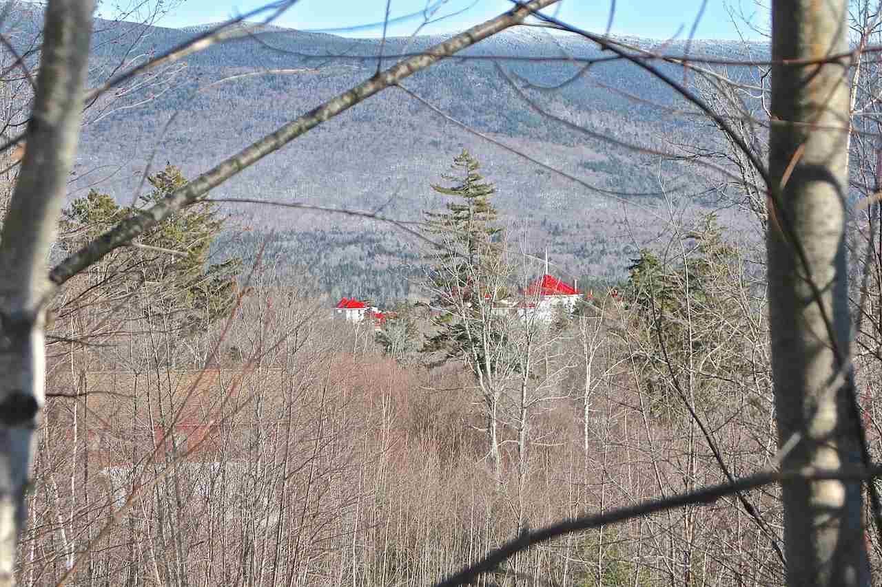 Dartmouth Ridge Road, Unit 9 Twin Mountain, NH 03595 - Photo 3 of 11 Gallery Image 3
