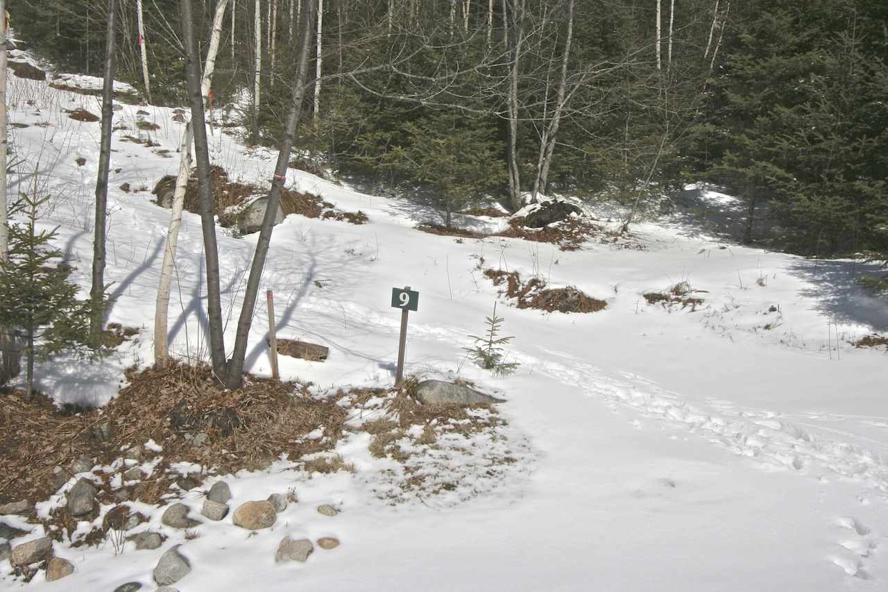 Dartmouth Ridge Road, Unit 9 Twin Mountain, NH 03595 - Photo 5 of 11 Gallery Image 5